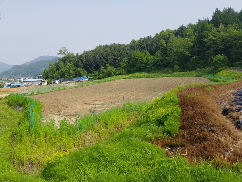 토지/임야 - 전