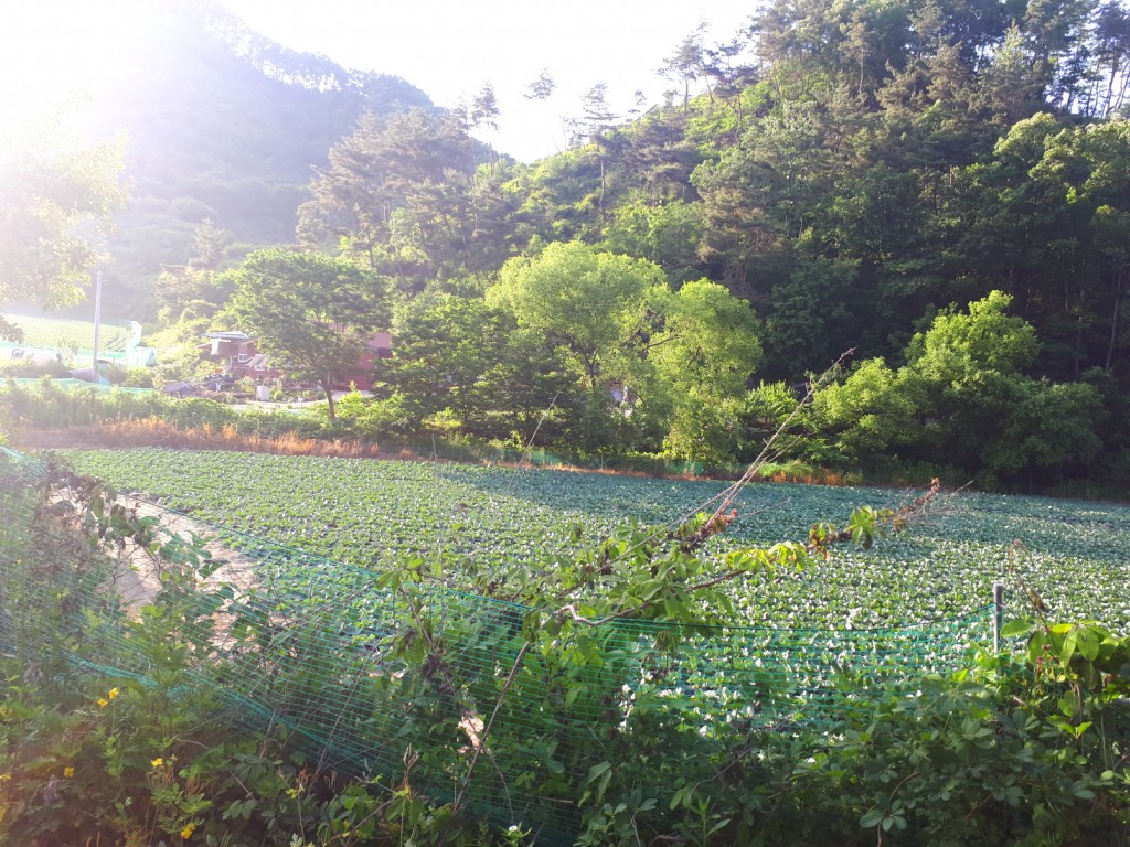 토지/임야 - 답