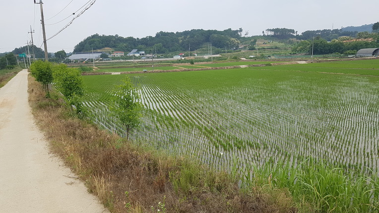 토지/임야 - 답