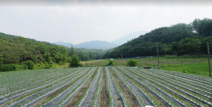 토지/임야 - 전