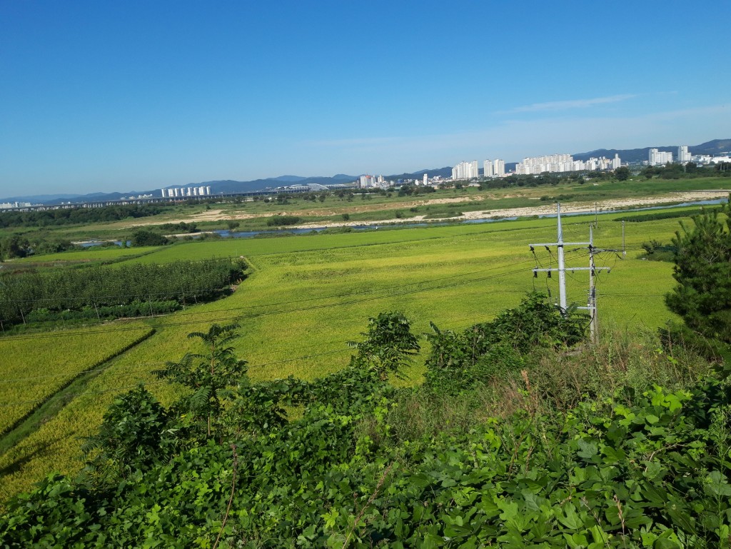 토지/임야 - 대