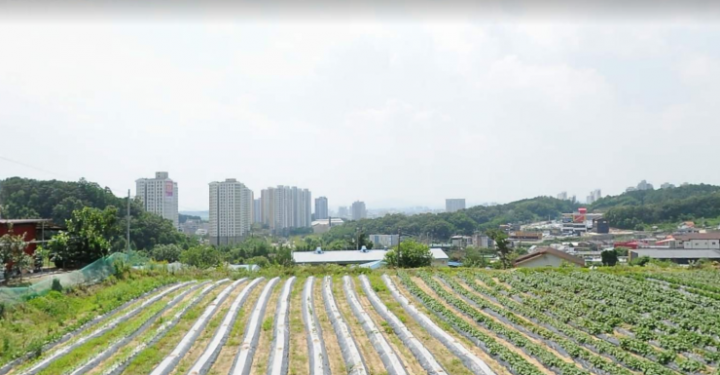 토지/임야 - 전