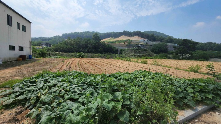 토지/임야 - 전