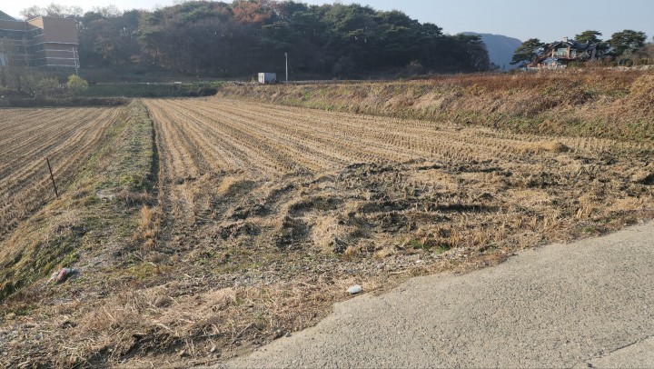 토지/임야 - 답