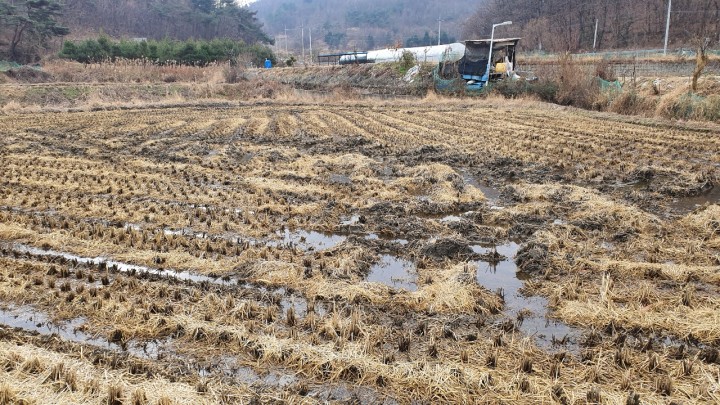 토지/임야 - 답