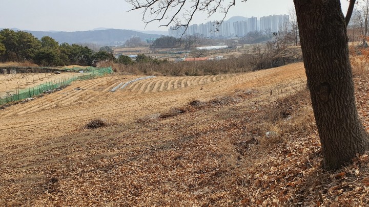 토지/임야 - 전