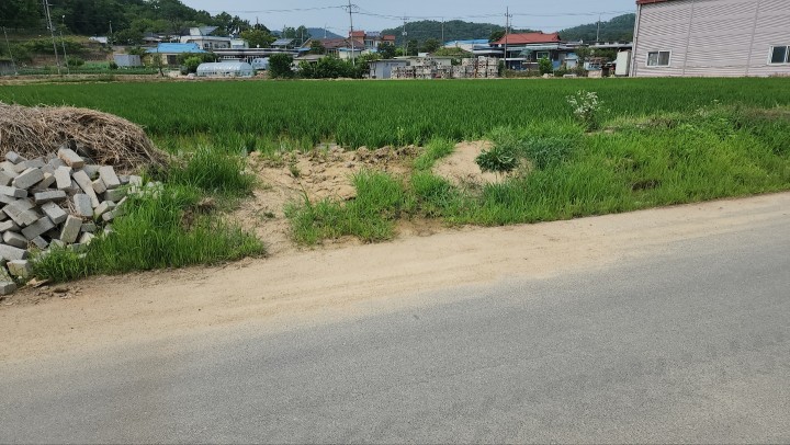 토지/임야 - 답