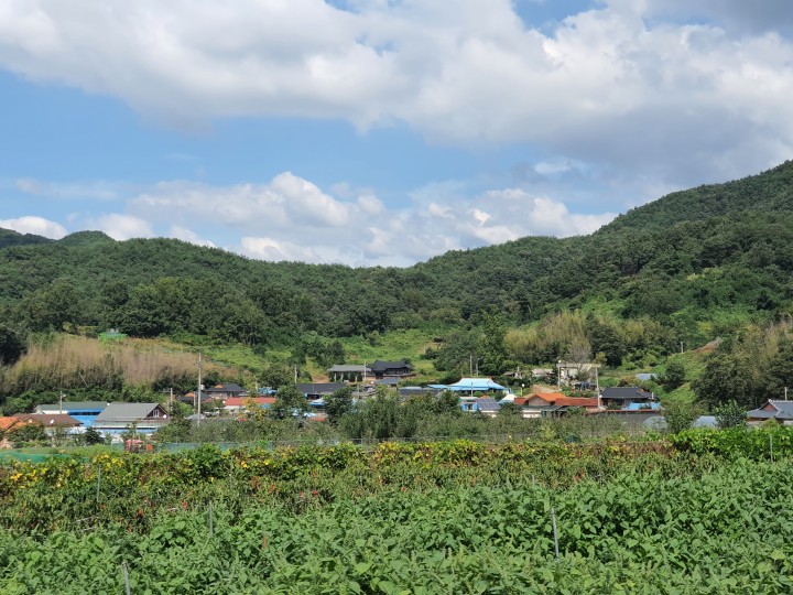 토지/임야 - 대