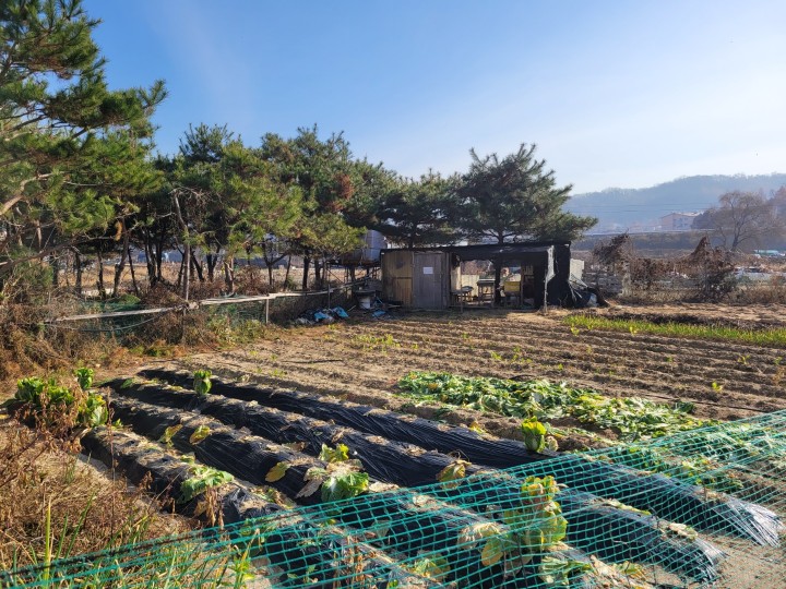 토지/임야 - 전