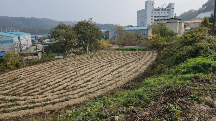 토지/임야 - 전