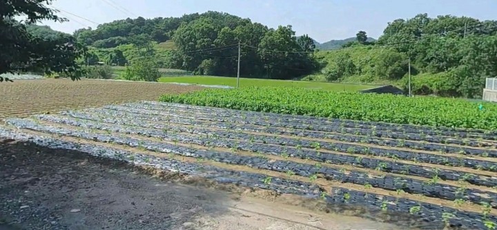 토지/임야 - 전