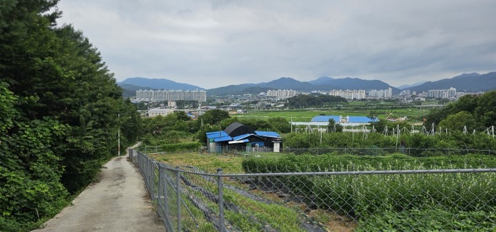 토지/임야 - 전