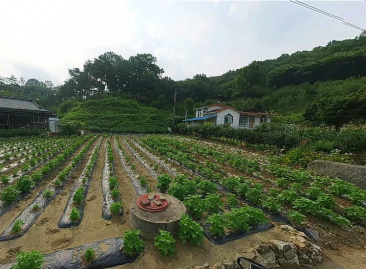 토지/임야 - 대